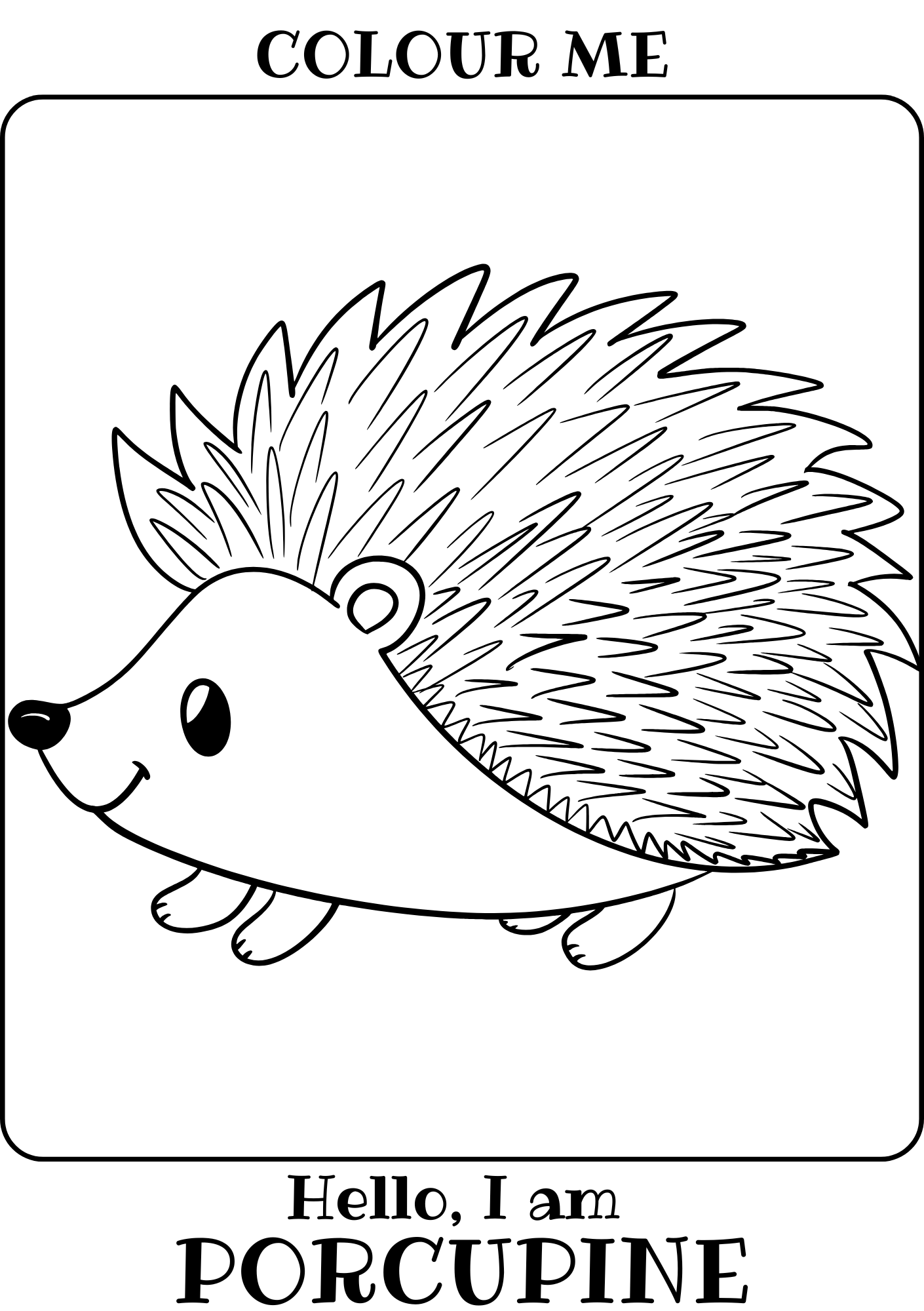 Kid's Colouring Book